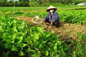 Tiền Giang: Kết hợp các chính sách an sinh xã hội trong thực hiện mục tiêu giảm nghèo bền vững