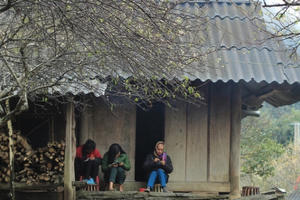 Bắt vợ - nét văn hóa của người Mông xứ Nghệ