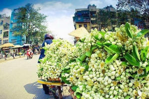 Hoa bưởi xuống phố