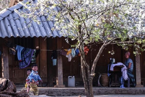 Sa Pa, Lào Cai: “thiên đường hạ giới” qua ống kính bốn mùa