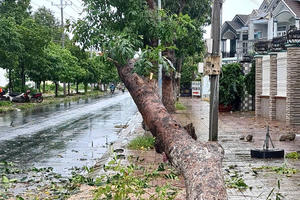 Đồng Tháp: Giông lốc hai ngày liên tiếp làm 26 căn nhà bị hư hại