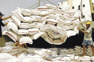 Slide - Điểm tin thị trường: Xuất khẩu gạo Việt Nam tiếp tục gặp khó khăn