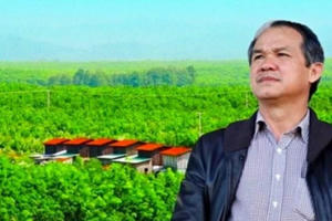 Ái nữ nhà Hoàng Anh Gia Lai hoàn tất mua vào 4 triệu cổ phiếu