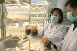 Những nghị quyết kiên định cho cải cách