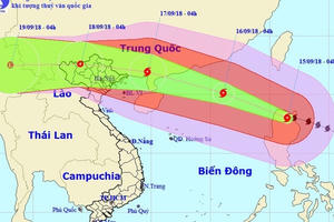 Thủ tướng yêu cầu ứng phó khẩn cấp bão số 6 và mưa lũ