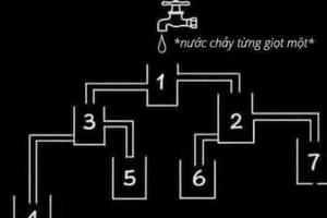 Câu đố không khó nhưng 99% người trả lời sai, còn bạn?