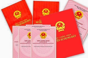 Lừa chuyển đổi mục đích sử dụng đất để chiếm đoạt hơn 7 tỷ đồng