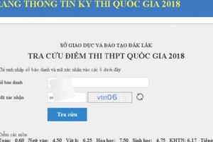 Đắk Lắk: Do tô mờ đáp án trắc nghiệm, một thí sinh phúc khảo điểm tăng từ 0,6 lên 7,2 điểm môn Toán