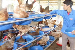 Tín dụng chính sách - Nguồn lực quan trọng xây dựng nông thôn mới