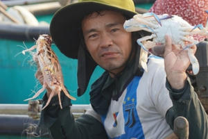 Ngư dân Phan Thiết xuất hành trúng ghẹ