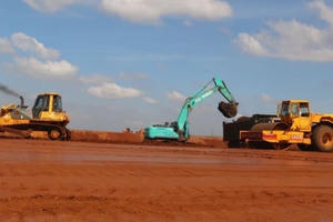 Sức sống mùa Xuân trên công trường