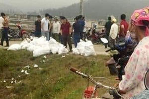 Thu giữ hàng trăm kg ma túy đang trên đường vận chuyển