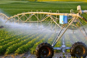 Sản xuất nông nghiệp công nghệ cao của Lâm Đồng đạt giá trị cao nhất nước