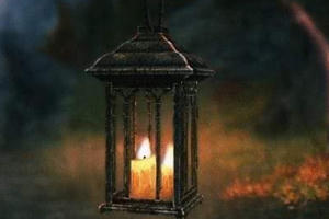 Khi tuyệt vọng cũng đẹp như một đóa hoa…