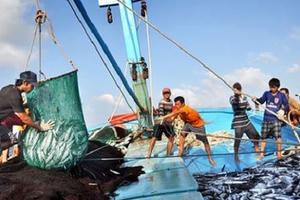 Đề xuất tăng cường truy xuất nguồn gốc thủy sản