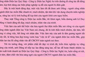 Nghệ An: Công nhân điện lực nhanh trí cứu người bị điện giật Nghệ An: Công nhân điện lực nhanh trí cứu người bị điện giật