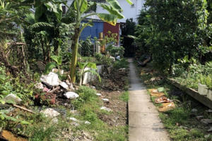 UBND phường Tương Mai chọn cách im lặng trước đơn thư tố sách nhiễu