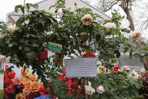 Bản tin Facebook nóng nhất tuần qua: Lễ hội hoa hồng Bulgaria - Chất lượng chưa tương xứng với giá vé