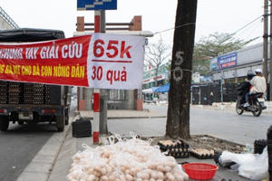 Cảnh giác với những lời chào mời "giải cứu" mua trứng gia cầm không rõ nguồn gốc Cảnh giác với những lời chào mời "giải cứu" mua trứng gia cầm không rõ nguồn gốc