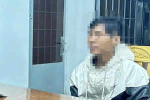 Bắt kẻ gây ra hàng loạt vụ trộm cắp tài sản