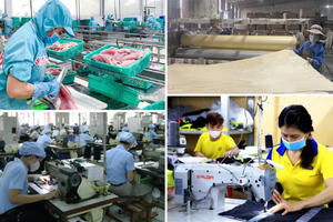 Chính phủ ban hành Kế hoạch triển khai một số cơ chế, chính sách đặc biệt phát triển kinh tế tư nhân Chính phủ ban hành Kế hoạch triển khai một số cơ chế, chính sách đặc biệt phát triển kinh tế tư nhân