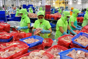 Hãi hùng: Mua kháng sinh dễ như mua rau