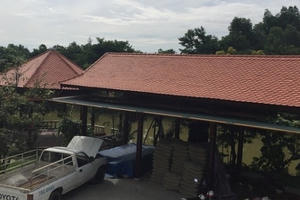 Địa ốc Plus/24h: Giám đốc sở xây biệt phủ không phép, hành vi trục lợi NOXH gia tăng