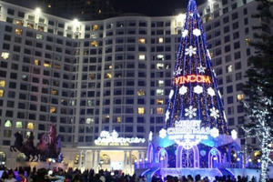 Hà Nội: Những cây thông Noel khổng lồ lung linh sắc màu