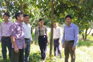 Xã có nghề chế biến đao riềng duy nhất ở huyện Trấn Yên đạt chuẩn nông thôn mới nâng cao