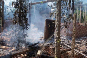 Bực tức với mẹ, nam thanh niên châm lửa đốt nhà Bực tức với mẹ, nam thanh niên châm lửa đốt nhà