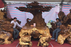 Bàn ghế nu 3 tỷ, sâm Ngọc Linh 1 tỷ: Mua ngay, không màng đắt rẻ