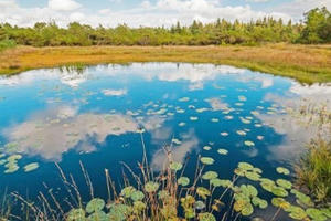 Bí ẩn những “xác ướp đầm lầy” 2.000 năm tuổi ở khắp Bắc Âu