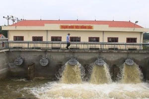 Thanh Hóa triển khai khẩn nhiều biện pháp ứng phó bão số 4