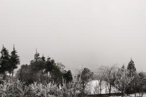 Chùm ảnh: Y Tý phủ một màu trắng xoá bởi băng tuyết