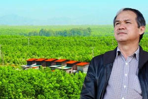 Bầu Đức gán nợ 1.200 tỷ, thoát gánh nặng chờ thời thăng hoa