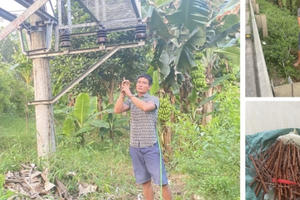 Lào Cai: Bắt giữ đối tượng trộm cắp thiết bị, linh kiện điện lưới gây mất điện hàng loạt