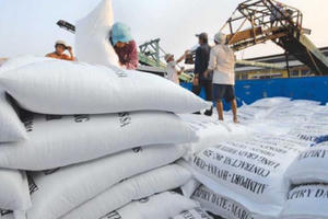 Audio Tài chính Plus: Xuất khẩu gạo tiếp tục khởi sắc