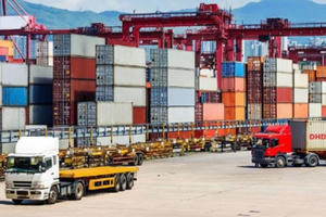 Việt Nam nhập siêu 500 triệu USD trong tháng đầu tiên năm 2022