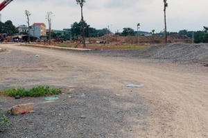 Dự án HAVICO Đồng Quang được giao đất không qua đấu giá, đấu thầu