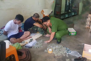 Đắk Lắk: Đột nhập bắt quả tang tụ điểm chuyên bán cỏ Mỹ
