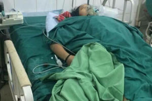 Hà Giang: 4 người nhập viện do ăn phải nấm độc