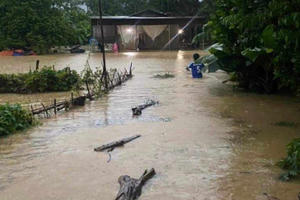 Nghệ An: Tìm kiếm người đàn ông mất tích do mưa lũ tại huyện Quỳ Châu