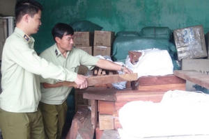 Quảng Nam: Phát hiện xe tải chở hơn 1,7 tấn gỗ quý không rõ nguồn gốc