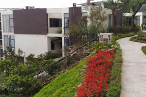 "Ðóng băng" biệt thự Tam Ðảo của Trịnh Xuân Thanh