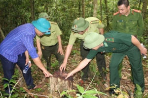 Thanh Hóa: Huyện Quan Sơn xử phạt 21 vụ vi phạm về rừng