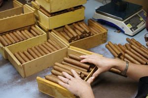 Tiêu dùng 72h: Sau vụ thu giữ 1.200 điếu Cigar trên phố Bà Triệu, chế tài xử lý ra sao?