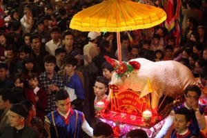 Những lễ hội rước "Ông Lợn" độc đáo ở Bắc Bộ
