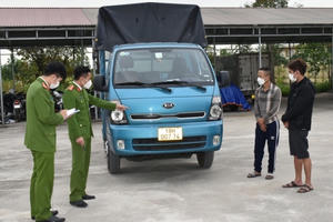 Ninh Bình: Bắt giữ 2 đối tượng đi ôtô tải trộm trâu liên tỉnh