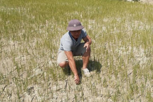 Miền Trung “khát”, miền Tây hạn mặn