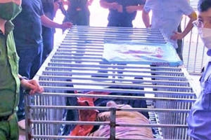 Nuôi nhốt 14 cá thể hổ trái phép, người đàn ông lĩnh án 07 năm tù giam